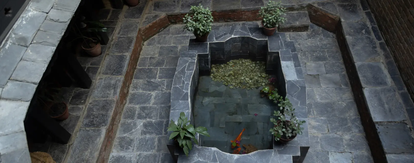 Indoor pond of Gaun Ghar
